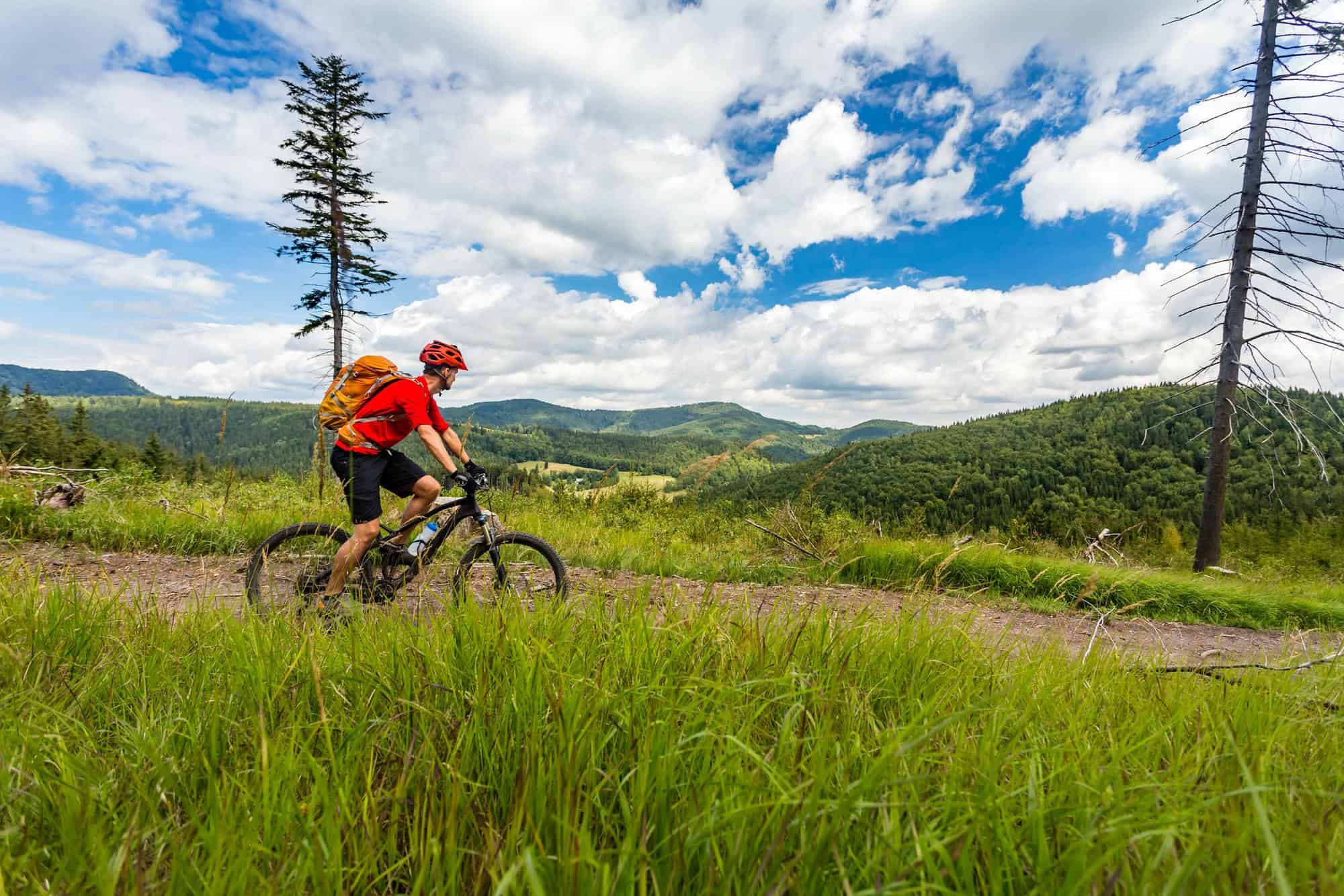 Mountain biking man riding in woods and mountains