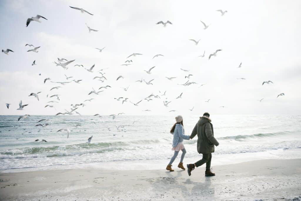 1120×800-merino-hw20-blog-1 young couple holding hands and walking on winter sea shore and looking at seagulls